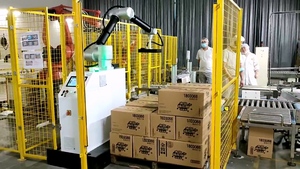 Boevan Collaborative <strong>Robot</strong> Palletizer Arm Pick and Place <strong>Palletizing</strong> <strong>System</strong> for Cobot Palletizer Price - Product Image 3