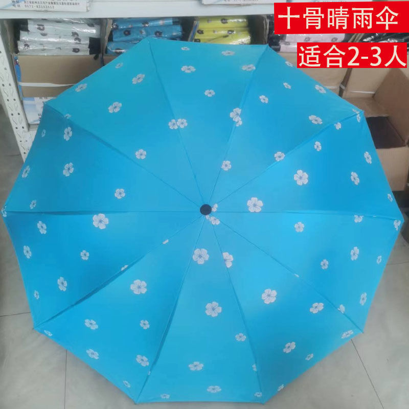 10-Bone Extra Large (Floral Sky Blue) Quality Choice