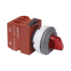 CNTDシリーズC3PNR6スイッチフラットプッシュボタンスプリングリターンLEDライトモーメンタリーIP6516A/10A/5Aプラスチックプッシュボタンスイッチ22mm - Product Image 3