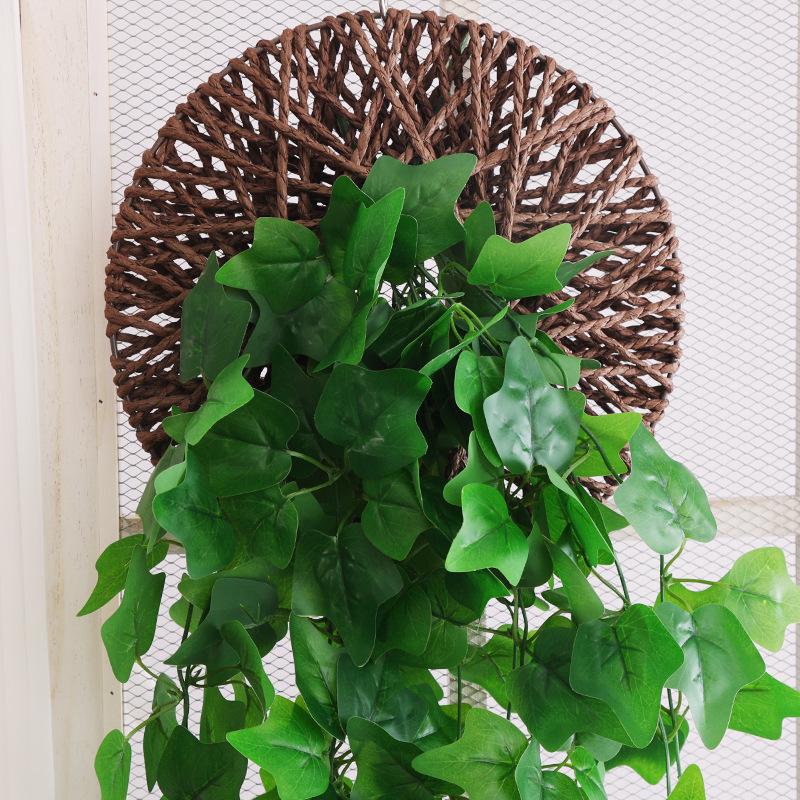 Feuilles de pothos collées (hors panier suspendu)