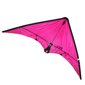 厂家直销高品质双线专业运动特技风筝带飞行工具空中表演 - Product Image 4