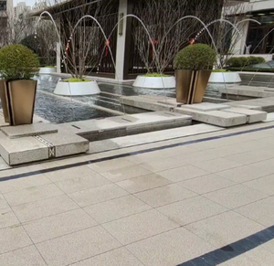 Stainless Steel Leaping Jumping Jet Fountain with DMX Control Dynamic Water Feature - Product Image 6
