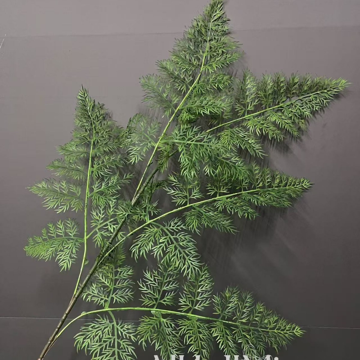 Hoja de ciprés grande