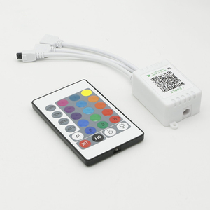 Luce LED telecomando 2 porte RGB scatola di controllo 24 tasti IR blu dente LED telecomando per RGB 5050 3528 luci di striscia LED