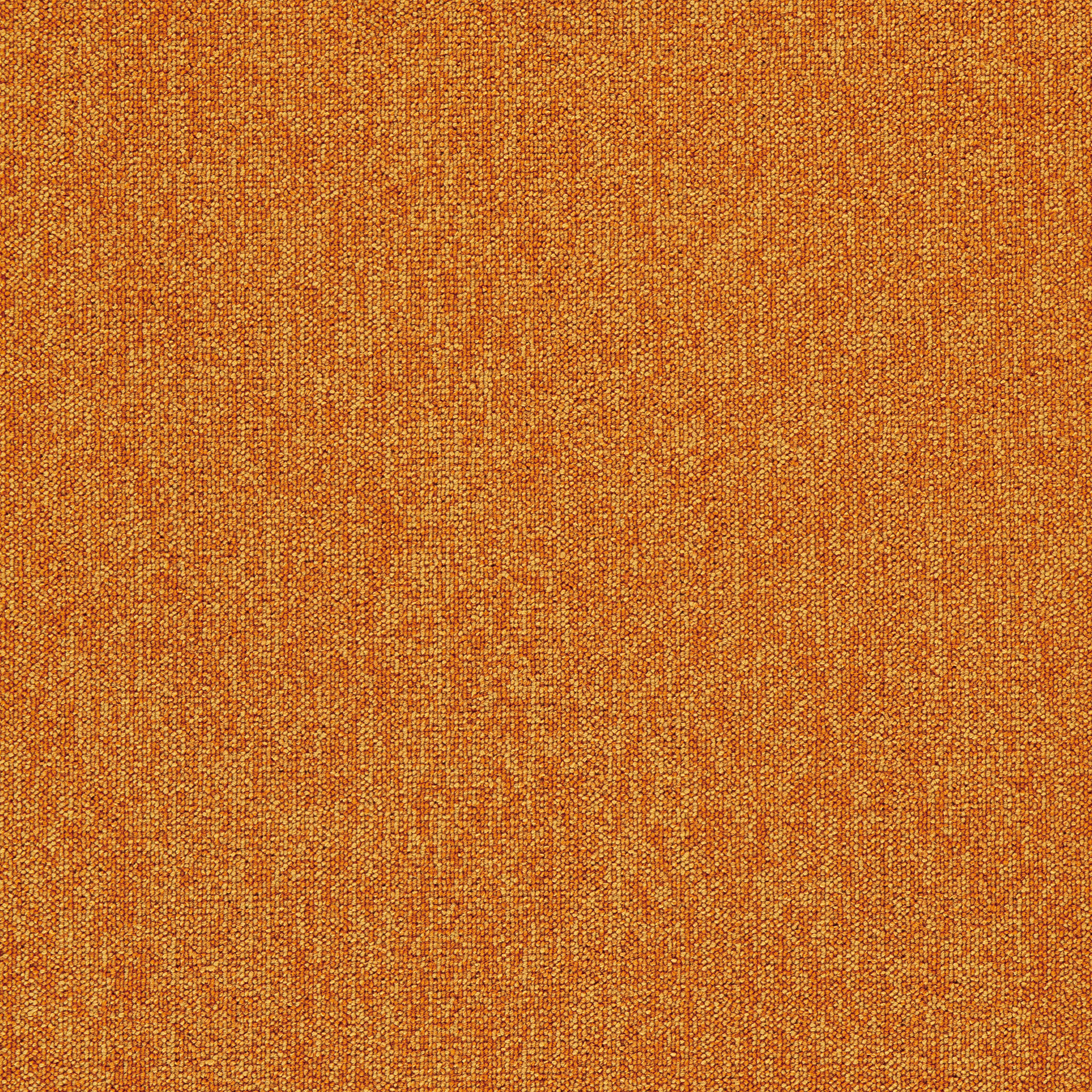 Orange12