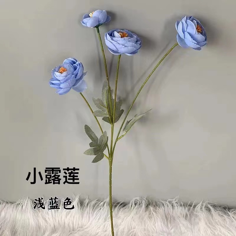 Petite goutte de rosée bleu clair