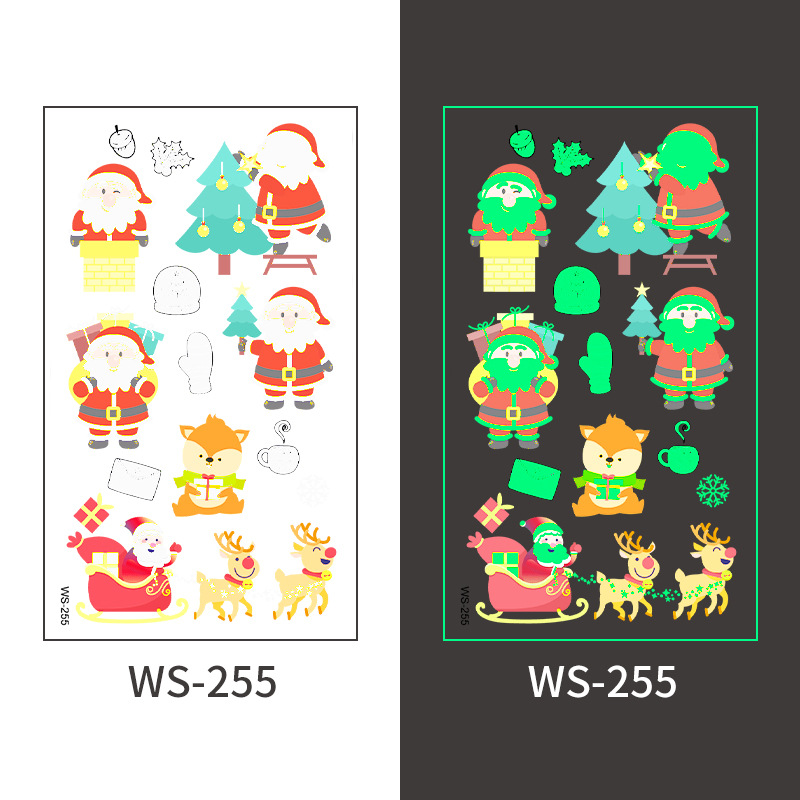 WS-255