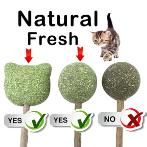 Forma de hierba gatera para gato, juguete de hierba gatera Natural de seguridad comestible, forma bonita, piruleta de menta, Bola de hierba gatera, dientes de limpieza para gato - Product Image 6