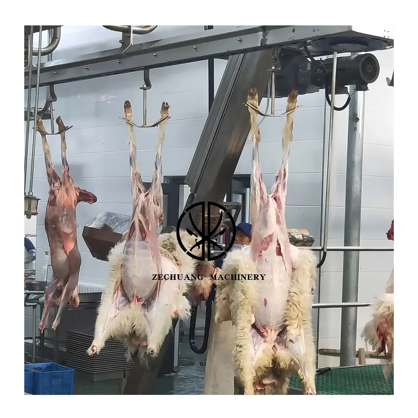 Halal Complete Abattoirs Sheep Halal Automatic Slaughterhouse Machines For Lamb Slaughtering Machine