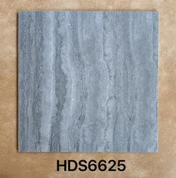 HDS662510