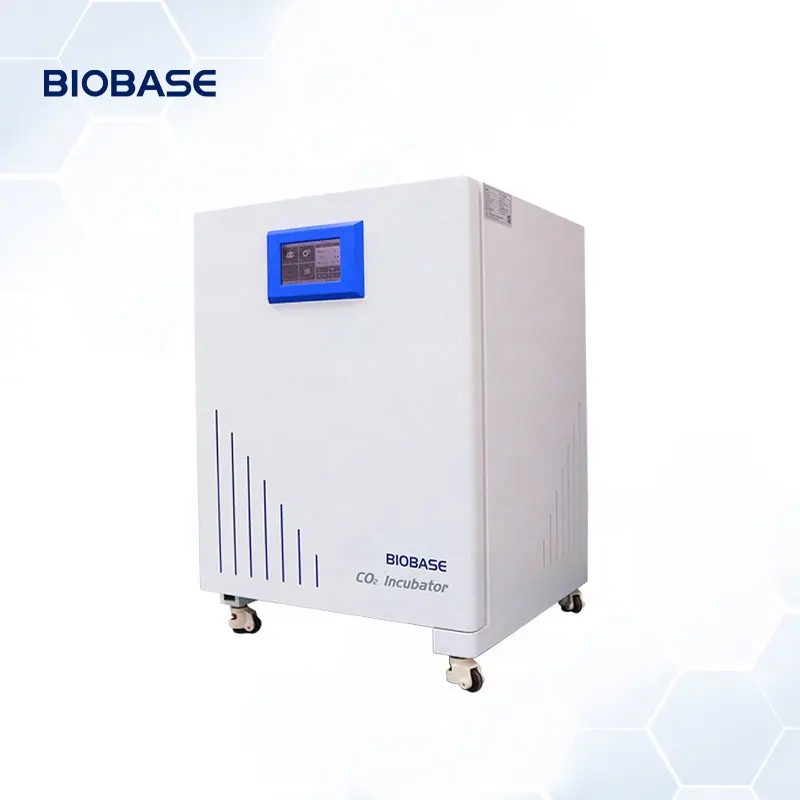 Incubadora de CO2 BIOBASE China 60 graus 80L Incubadora biológica de CO2 com jaqueta de ar em laboratório