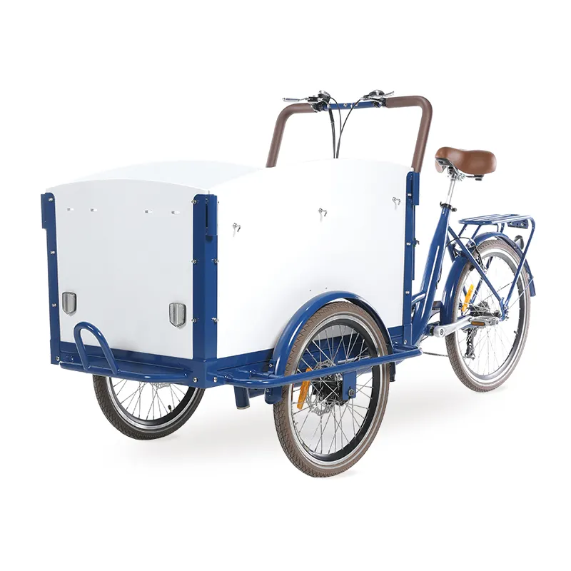 Sepeda tiga roda listrik seluler mode baru sepeda keluarga dewasa sepeda kargo elektrik 3 roda