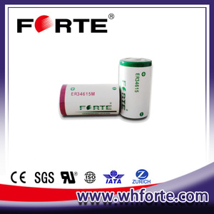 Er 34615M Forte Er34615 M <span class=keywords><strong>3</strong></span>.6V 14.5ah Lithium Primaire Batterij Li-SOCl2 Batterij - Product Image 5