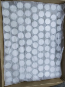 OEM/ODM Hericium Erinaceus Lions mantar takviyesi Lions Mane kapsüller - Product Image 4