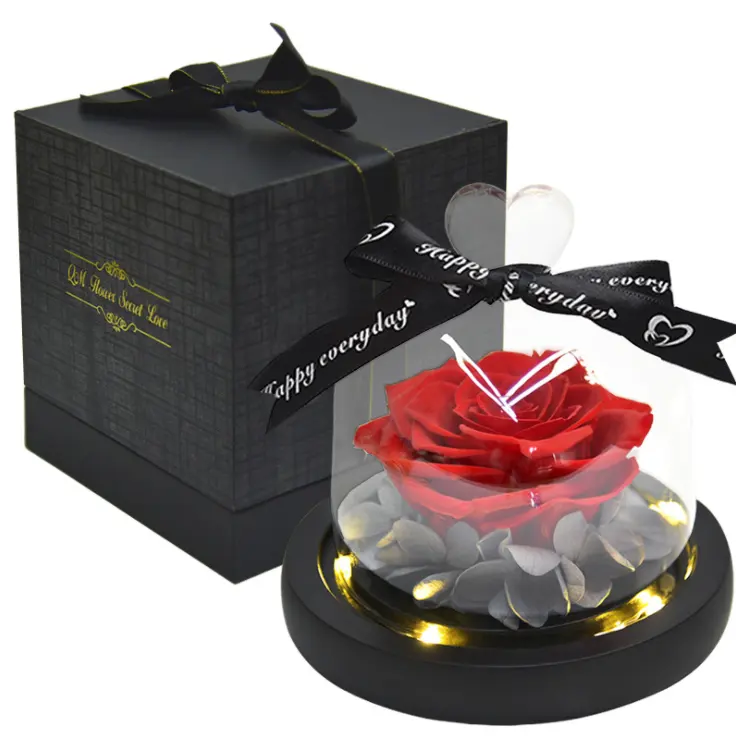 Neues Produkt Weihnachts geschenke Ideen Ever lationg Rose LED konservierte Blumen in Glas