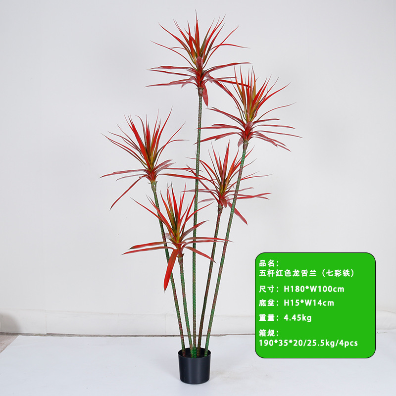Agave rouge à cinq tiges de 180 cm avec fougères arc-en-ciel