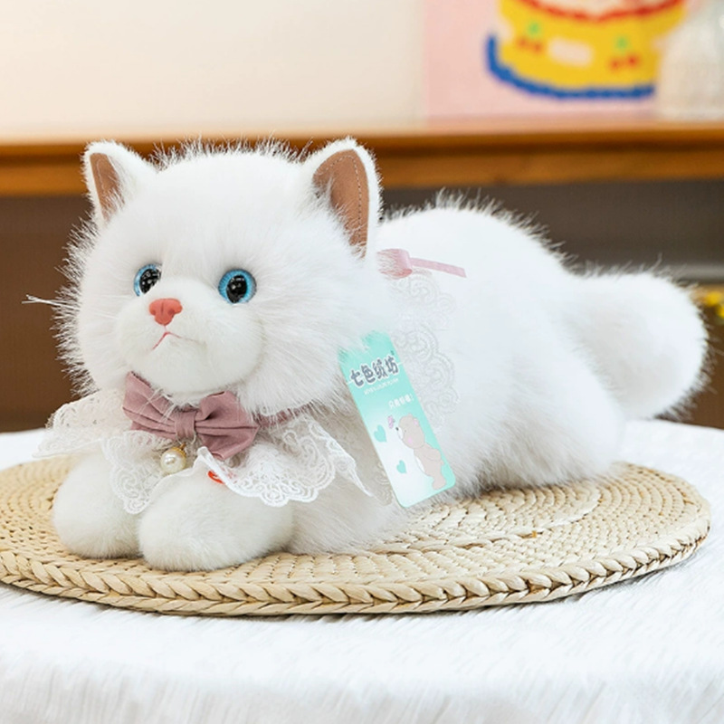 White ragdoll cat with bib