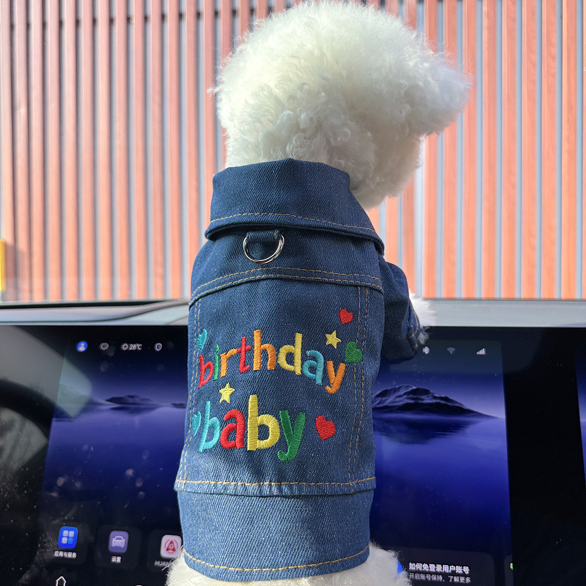 Veste en jean bébé anniversaire