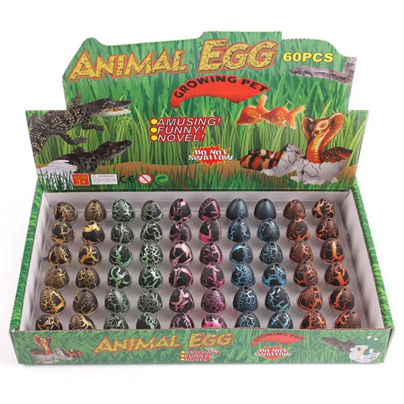 Giocattoli educativi all'ingrosso regali carino magia piccola crepa nera cova aggiungi uova di dinosauro che crescono in acqua per i bambini