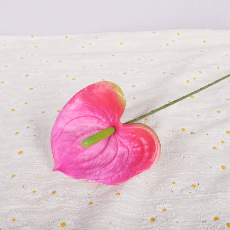 สีชมพูเข้ม