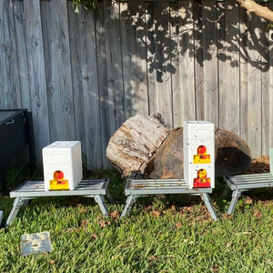 Benefitbee Hộp Tổ Ong Nữ Hoàng Bằng Nhựa Thiết Kế Riêng Hộp Tổ Ong Mini Tổ Ong Xốp - Product Image 2