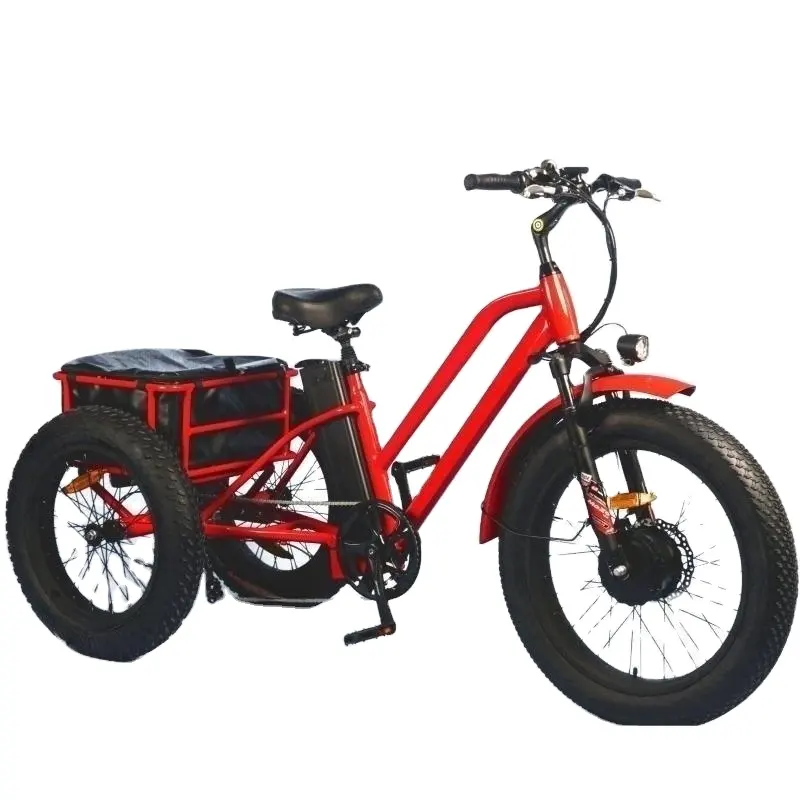 20 pollici Triciclo elettrico 750W motore grasso pneumatico 3 ruote E bici Triciclo tre ruote adulto Cargo bici elettrica con cestino