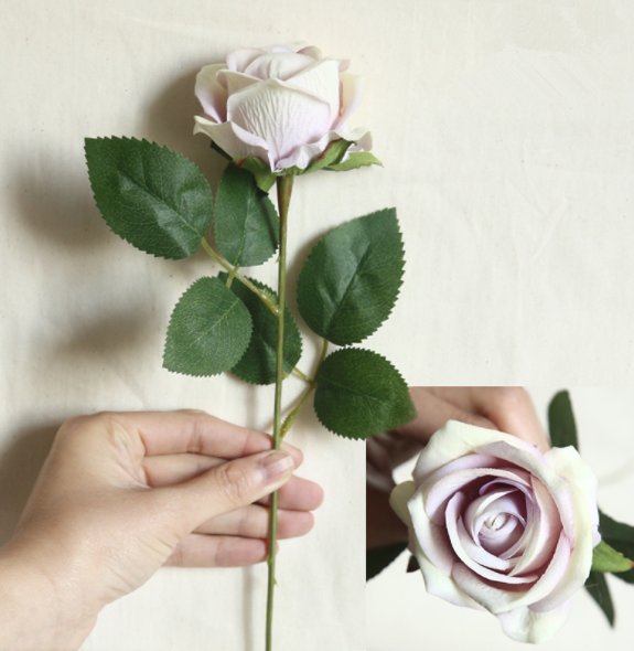 rose sale