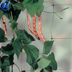 Trellis Netting Roll Blumen Spalier Erbsen netz Hdpe Gemüse pflanz netz 15 Cm Vertikales Netz für Blumen und Pflanzen - Product Image 4