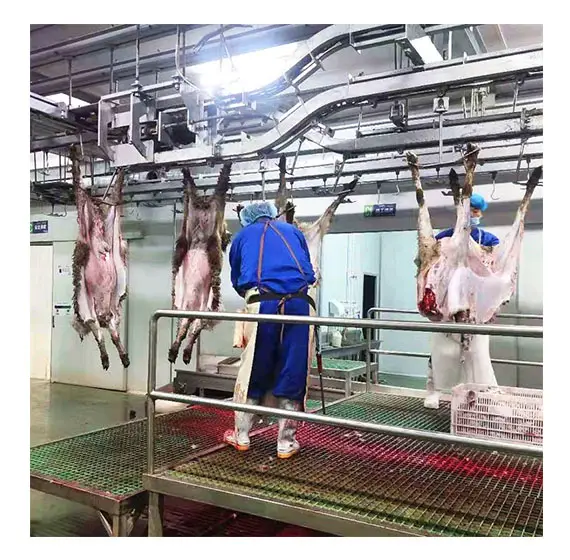 Abattoir machinery manufacturer halal slaughterhouse machines for sheep