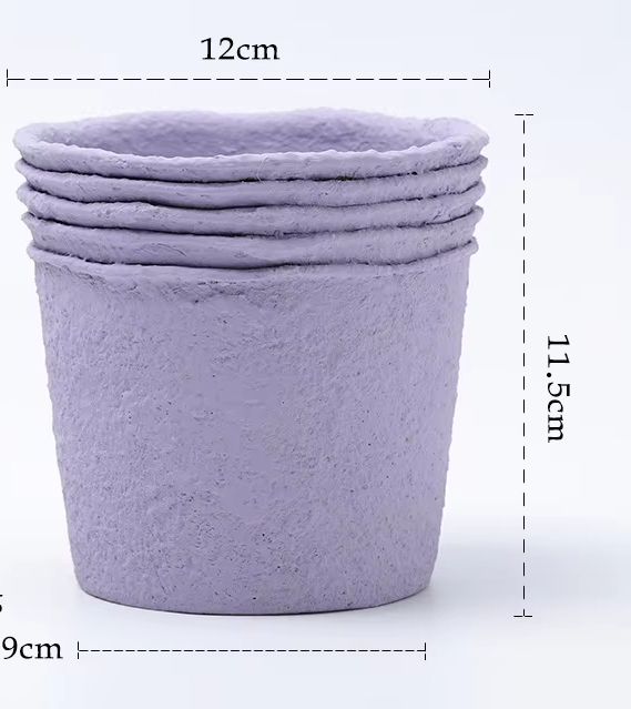 Paper Pulp Purple Medium Size 12cm