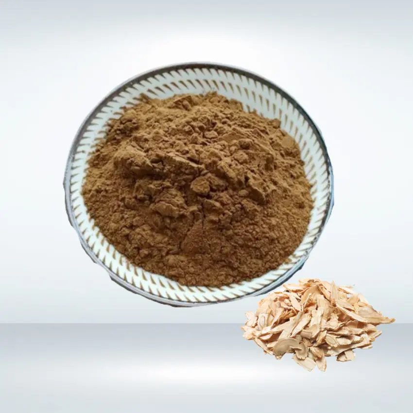 Haosen Factory Chinese dong quai Angelica Root Extract polvere Angelica polisaccaridi