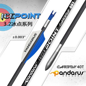 Pandarus okçuluk ID3.2mm saf karbon ok mili Icepoint olimpik bileşik yay ok çekim avcılık için - Product Image 2