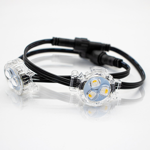 30mm LED piksel ışık 12V UCS2904 RGBW programlanabilir kalıcı ışık noel ışığı - Product Image 1