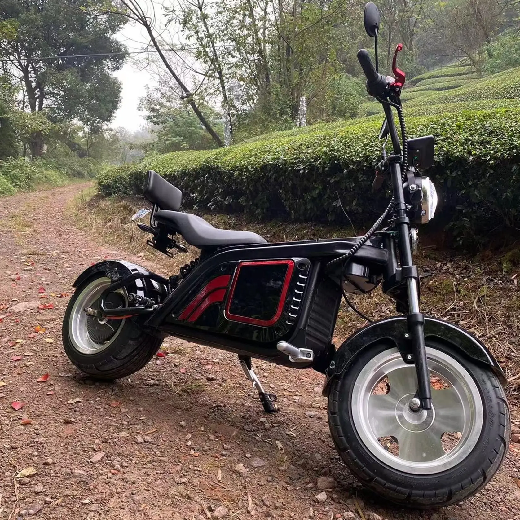 500W 2 Wheel Electric Mobility Scooter Erwachsene, New Arrival Electric 3 Wheeler