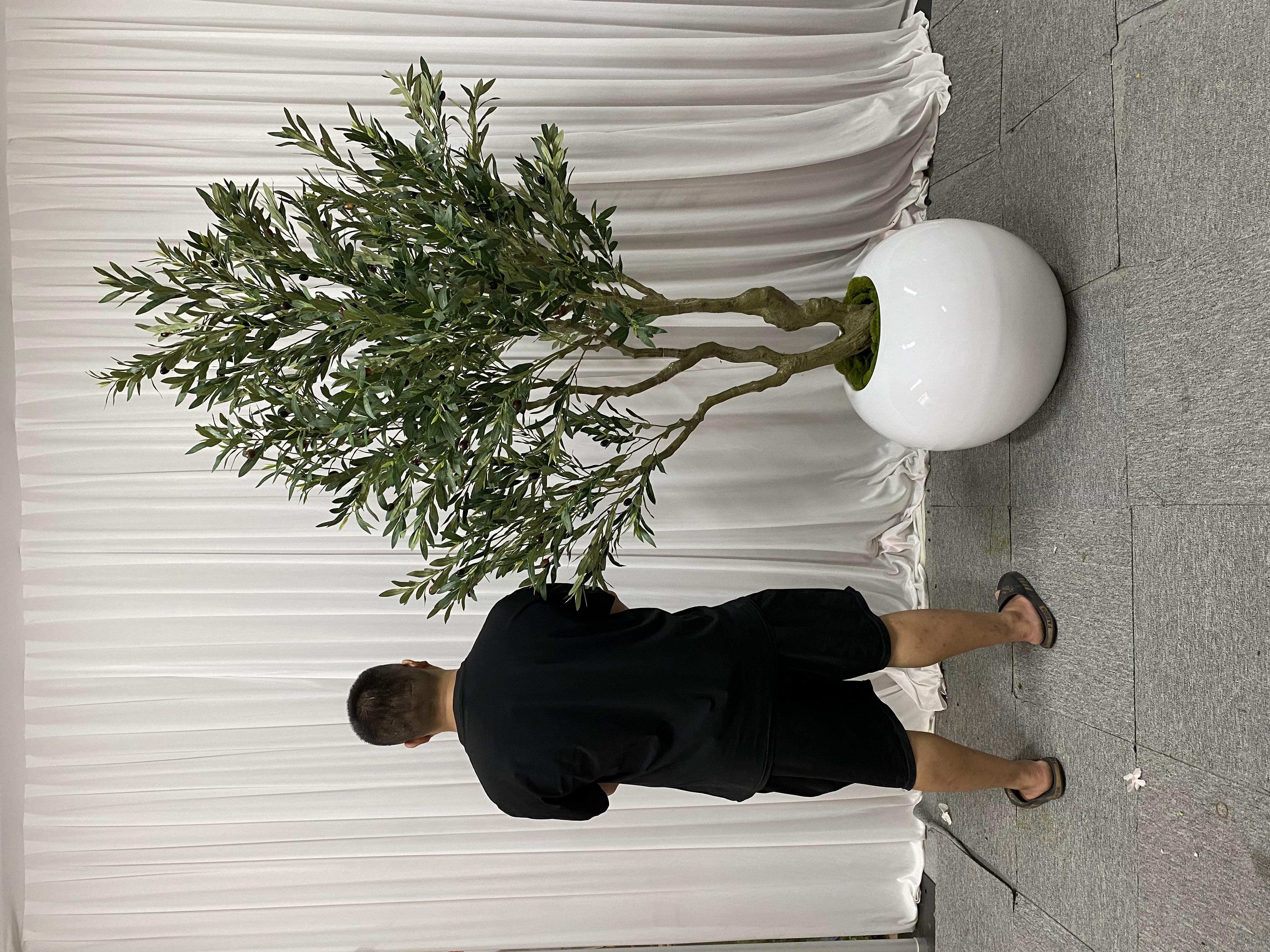 2.3M/7.55Ft; Avec pot