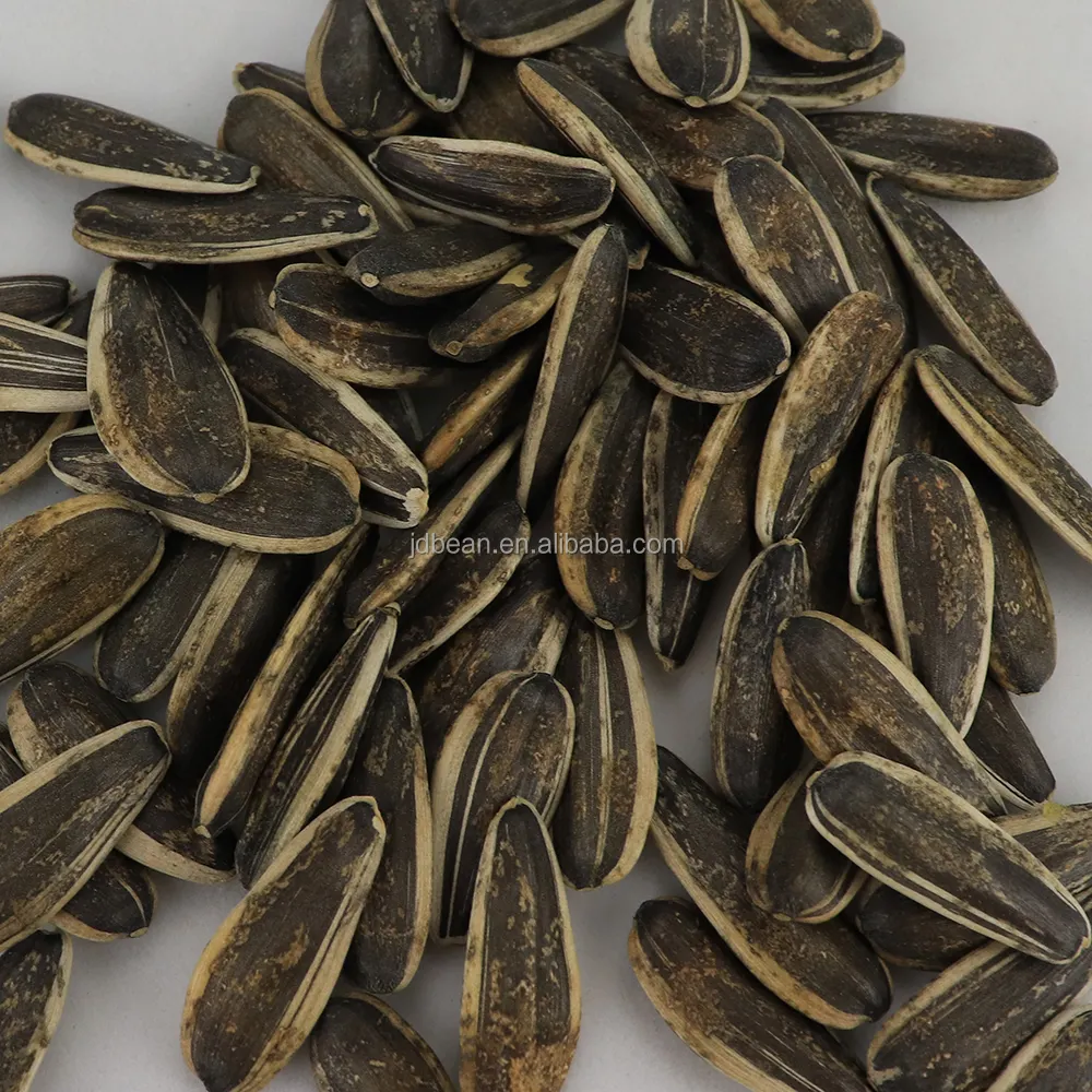 China Origin Factory Customize Inner Monglia Sunflower Seeds Raw 361 363 Dehusking Chinese Sunflower Seeds a Ton Price