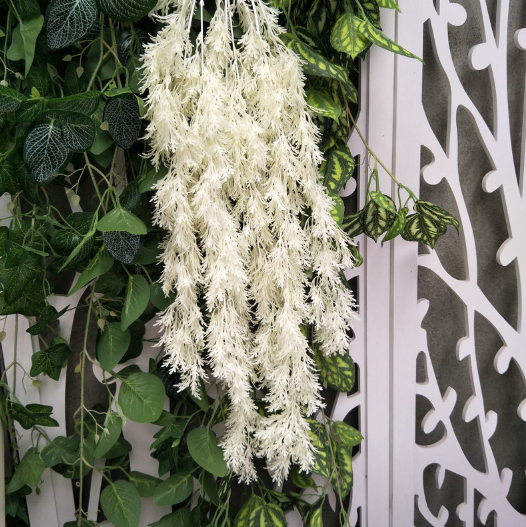 Blanc
