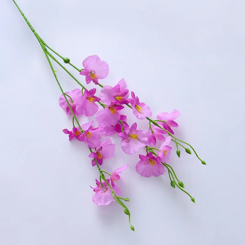 Orchidée dansante courte violet clair