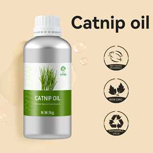 Precio al por mayor 100% puro Natural Nepeta Cataria Extracto de planta aceite esencial aceite de hierba gatera para difusor - Product Image 2