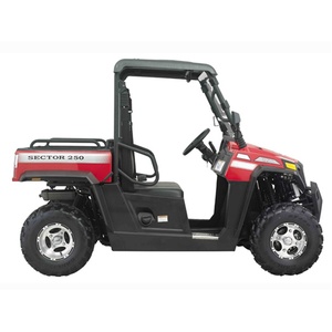 HISUN <strong>Quad</strong> 250cc/800cc Petrol Engine Powered Automatic 4X4 UTV Buggy Off Road Fang High Stability Electric Quadriciclo - Product Image 1