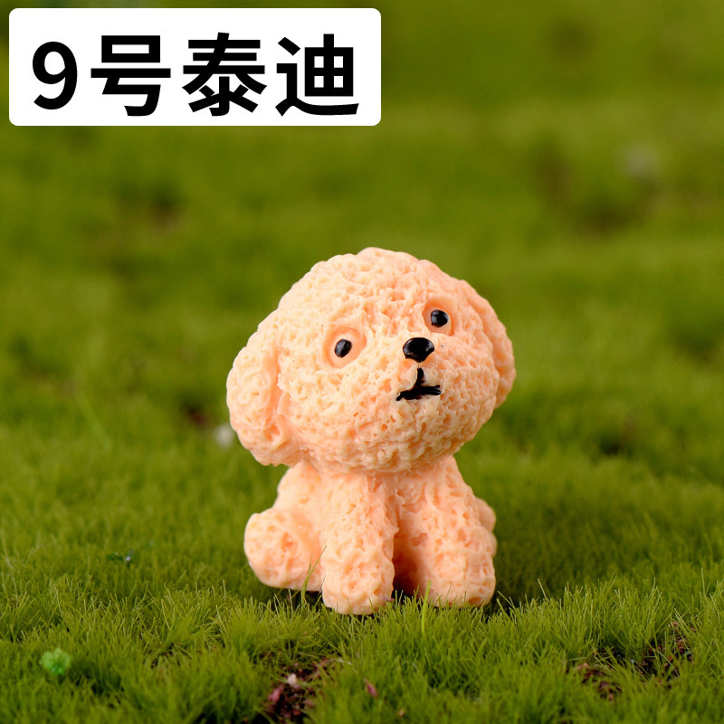 Teddy non.9