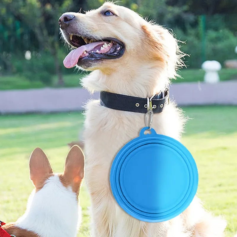 Bol pliant portable en silicone pour animaux de compagnie bol de voyage portable pliable en silicone bol pour chien extérieur