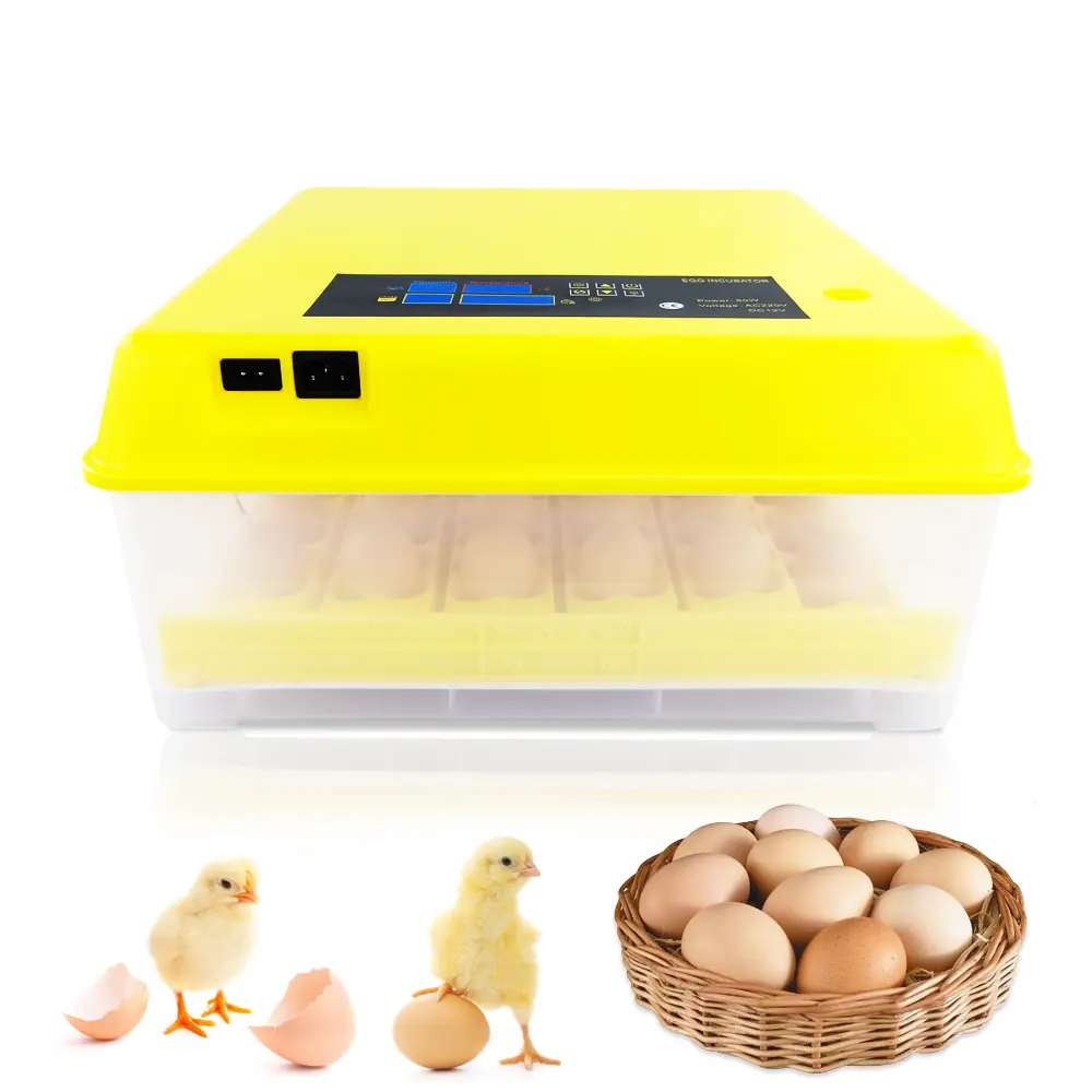 110 36 yumurta küçük inkübatör için 220V/Mini kuluçka V tek güç termometre