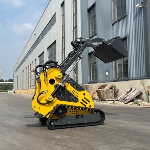 <span class=keywords><strong>Mini</strong></span> Skid chỉ đạo miễn phí vận chuyển giá rẻ CE/EPA New vườn nhỏ loader theo dõi <span class=keywords><strong>mini</strong></span> Skid chỉ đạo Bộ nạp với xô đào hầm quay cày - Product Image 3