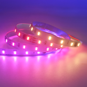 RGBCCT Smart digitale luce LED striscia SMD5050 5 colori RGBWW tagliabile indirizzabile con effetti di programma di animazione di luce di corsa