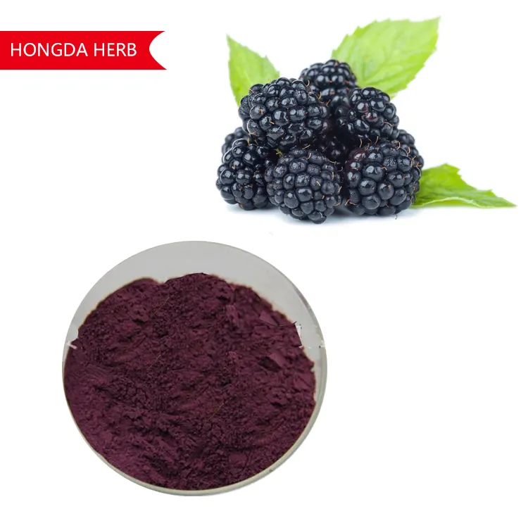 Prezzo di fabbrica Blackberry Fruit Powder estratto di mora polvere di mora