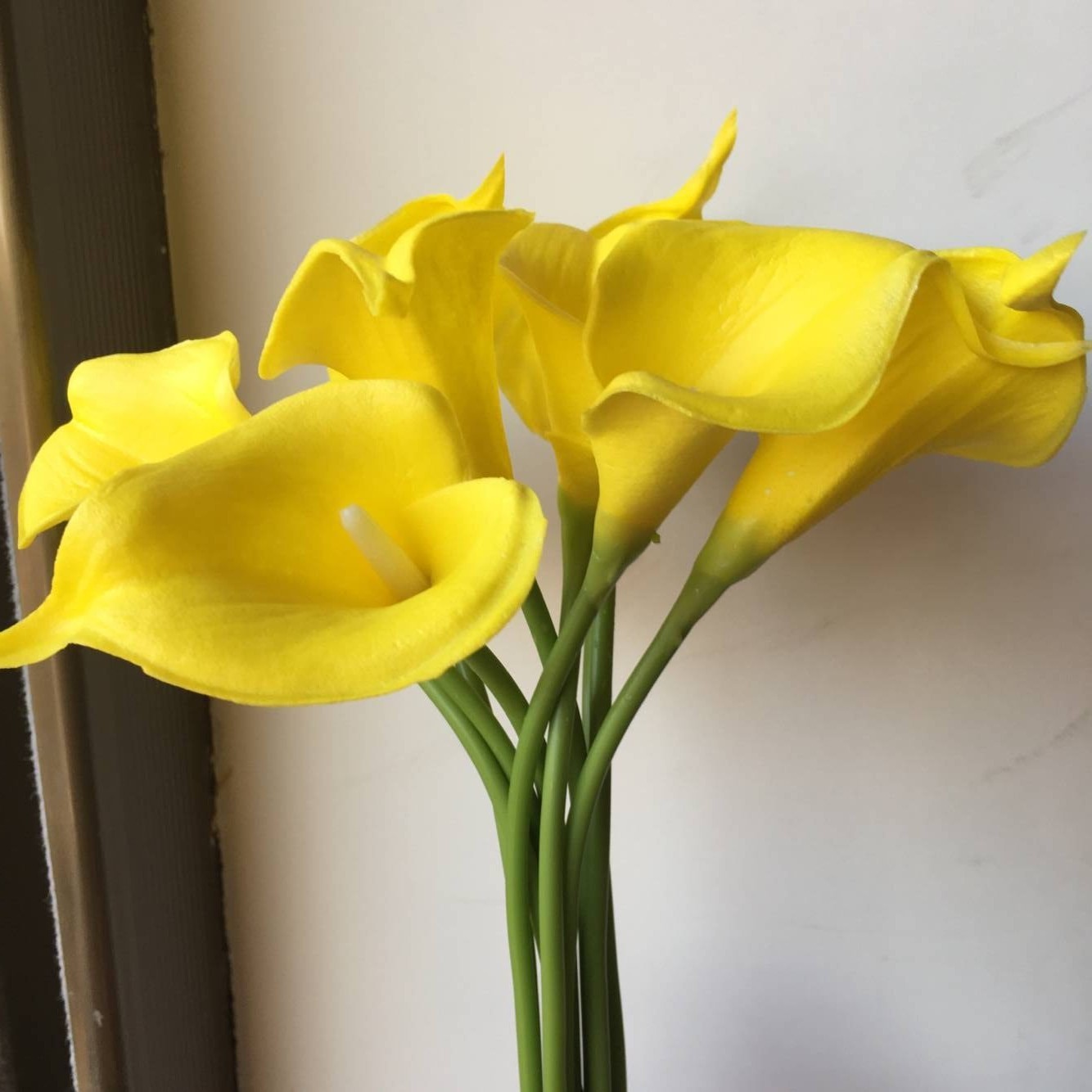 1 amarillo con centro blanco