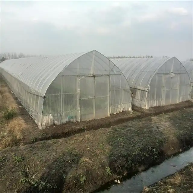 high quality multi layered Greenhouse film pe film for crop cultivation 10 meter width green house film