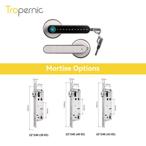 WiFi Keyless <span class=keywords><strong>Entry</strong></span> Hebel Tastatur Passwort Fechadura Digital Tuya ttlock App Biometrischer Finger abdruck Smart Türgriff