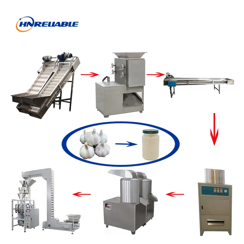 Máquina automática para hacer pasta de jengibre y ajo, proveedores de línea de producción de puré de ajo